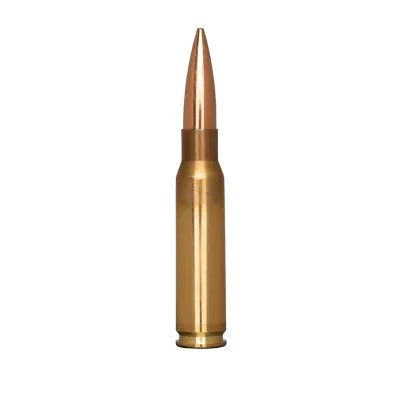 .308 Palma
