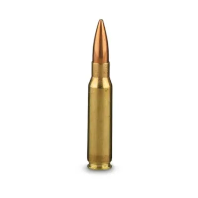 7.62 x 51mm