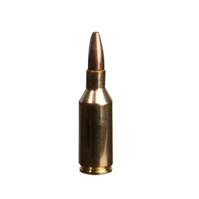 .300 OSSM