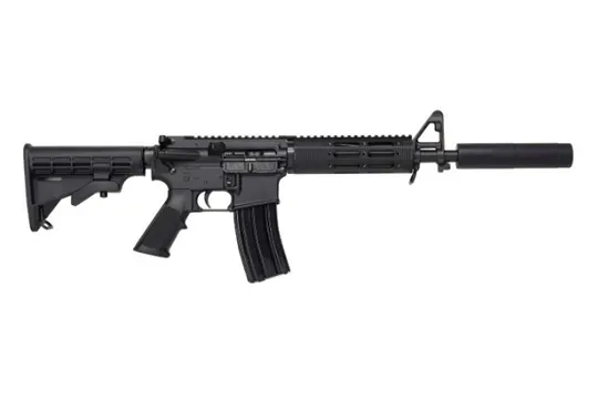 DPMS 300 ACC RFA3300IS