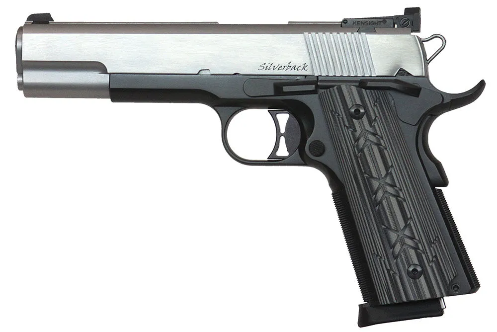 Dan Wesson Silverback