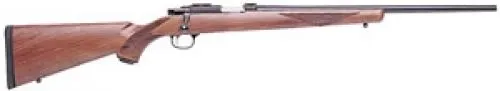 Ruger 77/22