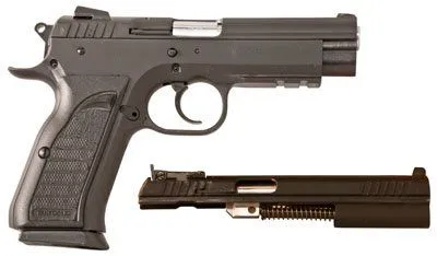 EAA Tanfoglio Witness Combo 999175