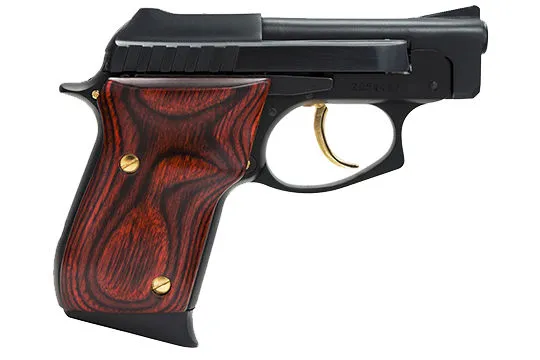 Taurus PT25 1-250031G
