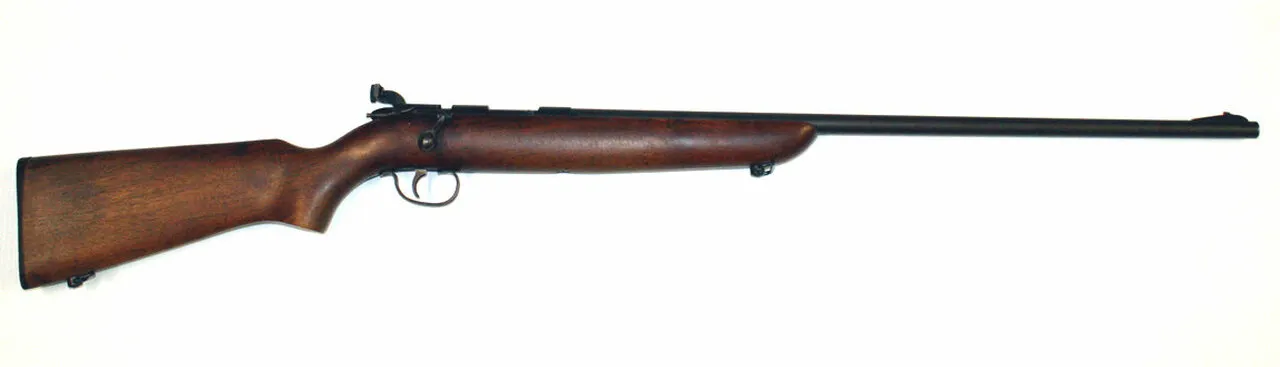 Remington Arms 510-P The Targetmaster
