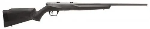 Savage Arms B17 F