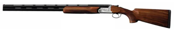 B Rizzini Vertex