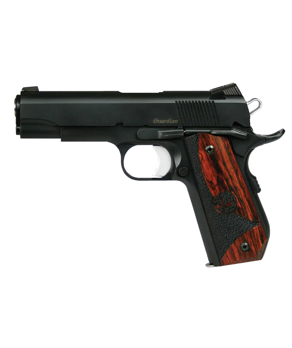 CZ Guardian