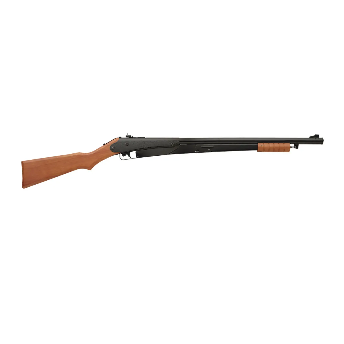 Daisy Model 25