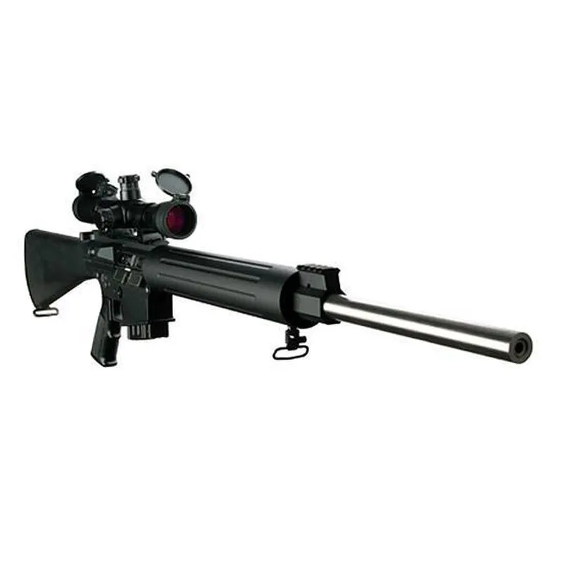 DPMS LR-308 AP4
