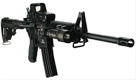 DPMS The Agency