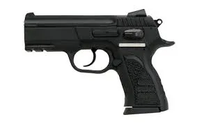 EAA Witness Compact
