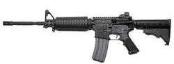 Stag Arm 2L