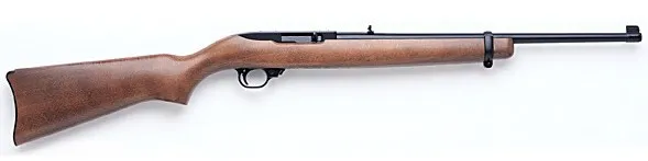 Ruger 10/17