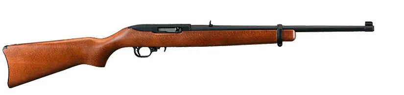 Ruger 10/22 Magnum