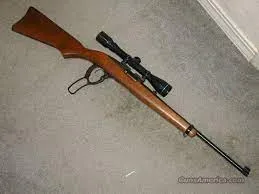 Ruger 96/22 Magnum