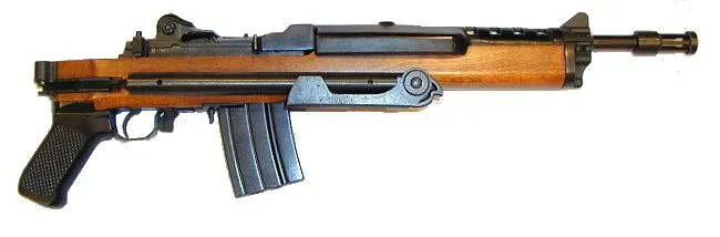 Ruger AC-556