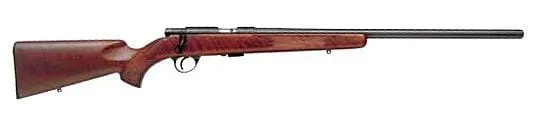 Anschutz 22 Long Rifle