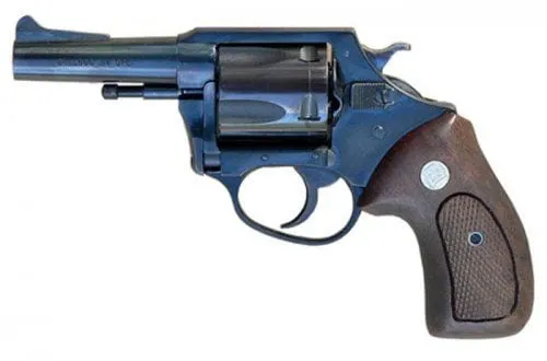 Charter Arms Bulldog 34431