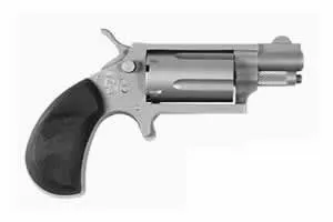 Charter Arms Dixie Derringer