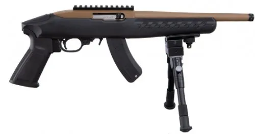Ruger 22 Charger 4931