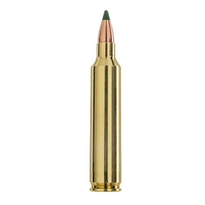 .204 Ruger