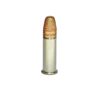 .22 LR