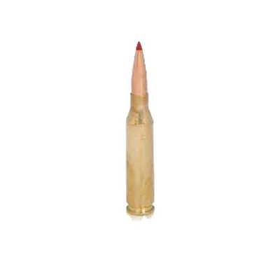 .25-06 Remington