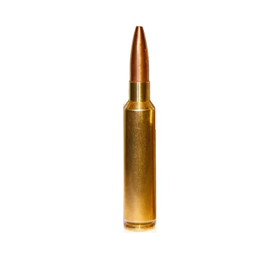 .284 Winchester