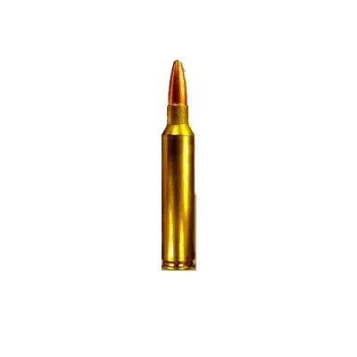 .300 Dakota