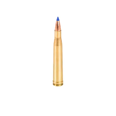 .300 H&H Magnum