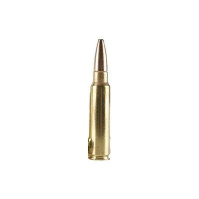 .300 Savage