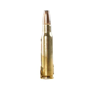 .307 Winchester