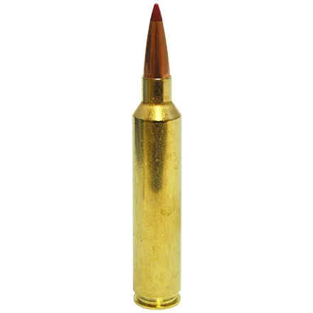 7mm STW (Shooting Times Westerner)