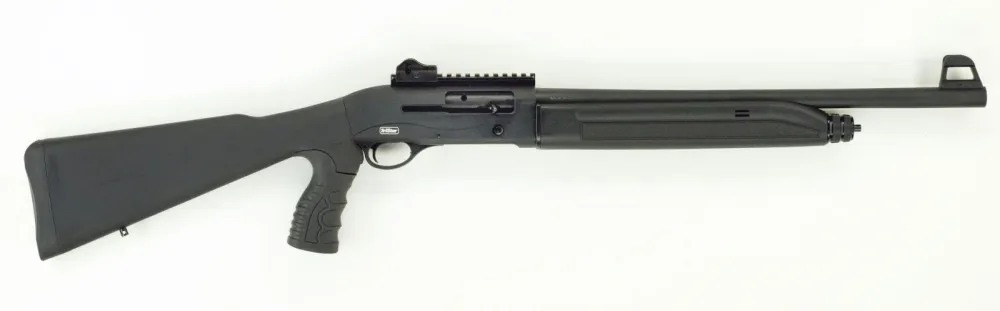 TriStar Arms Raptor 20120