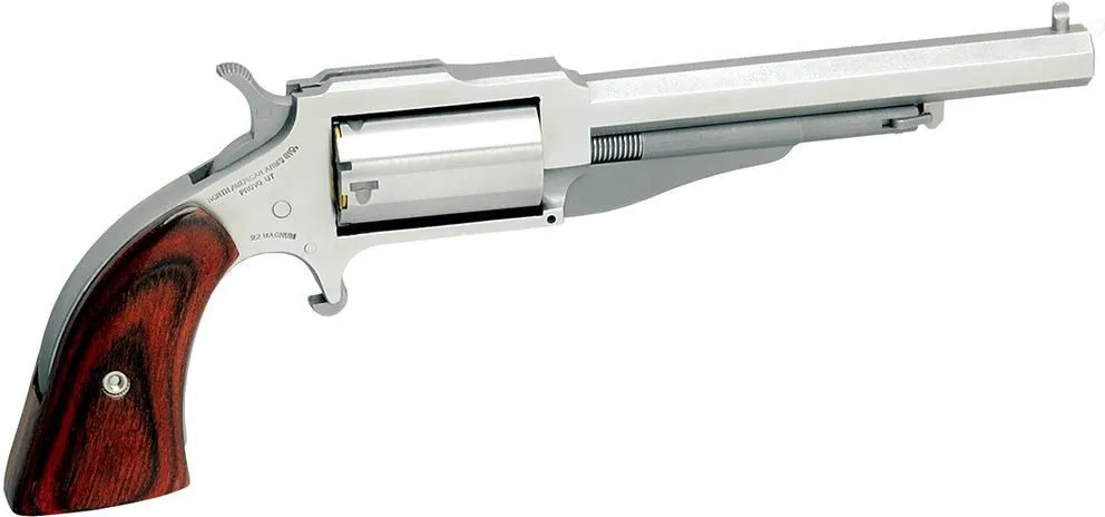 North American Arms The Earl
