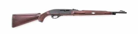 Remington Nylon 66