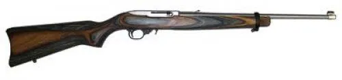 Ruger 10/22 Stainless