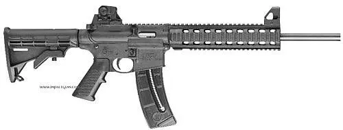 Smith & Wesson M&P 15-22 150781
