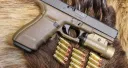 Best Handguns For Bear Defense