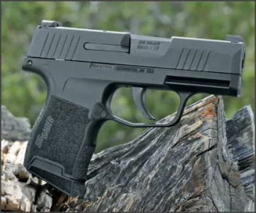 Sig Sauer P365 Fit-N-Finish