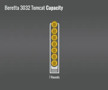 Beretta 3032 Tomcat Capacity