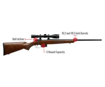 Cz 527 Feature