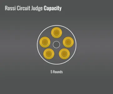 Rossi Circuit Judge Capacity