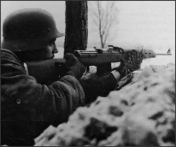 Walther Gewehr 43 Mobility