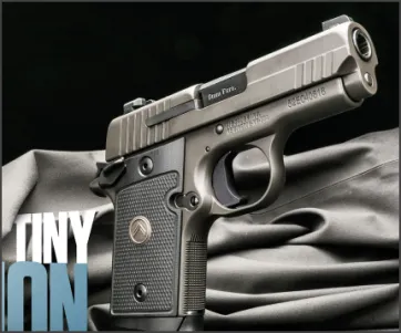Sig Sauer P938 Fit-N-Finish