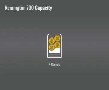 Remington 700 Capacity