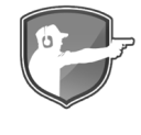Guncritic Critic Rating