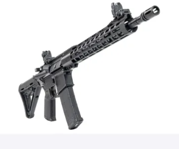 Palmetto State Armory Pa-15 Mobility