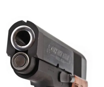 Colt New Agent Fit-N-Finish